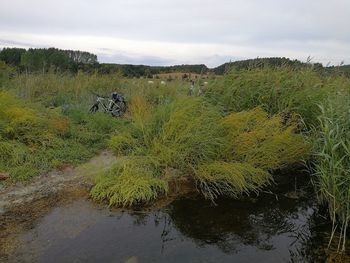 Scenic view of landscape against sky