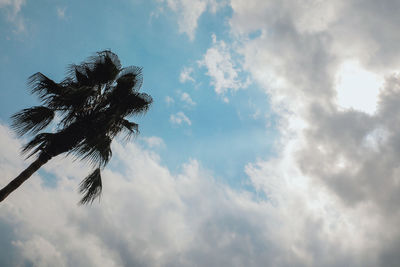 Low angle view of coconut palm tree against sky