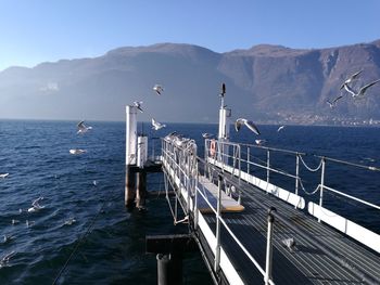 Birds flying over bridge amidst sea against sky