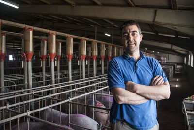 Salamanca, spain, pig farmer in a factory farm of iberian pig