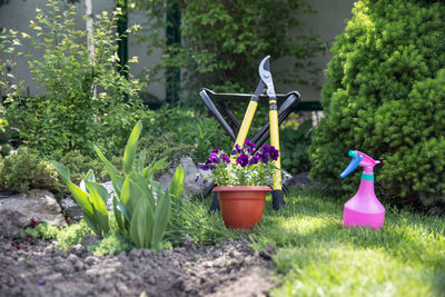 Potted plants in garden