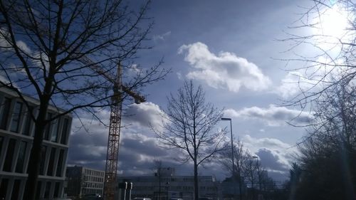 Low angle view of trees against cloudy sky