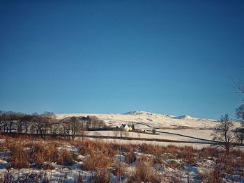 Scenic view of snow field against clear blue sky