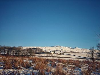 Scenic view of snow field against clear blue sky