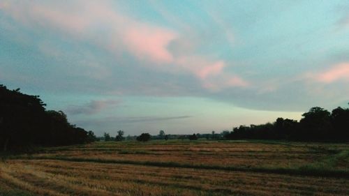 Scenic view of field against sky during sunset