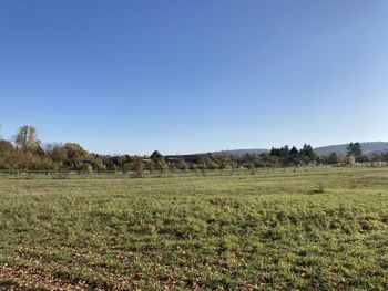 Scenic view of field against clear blue sky