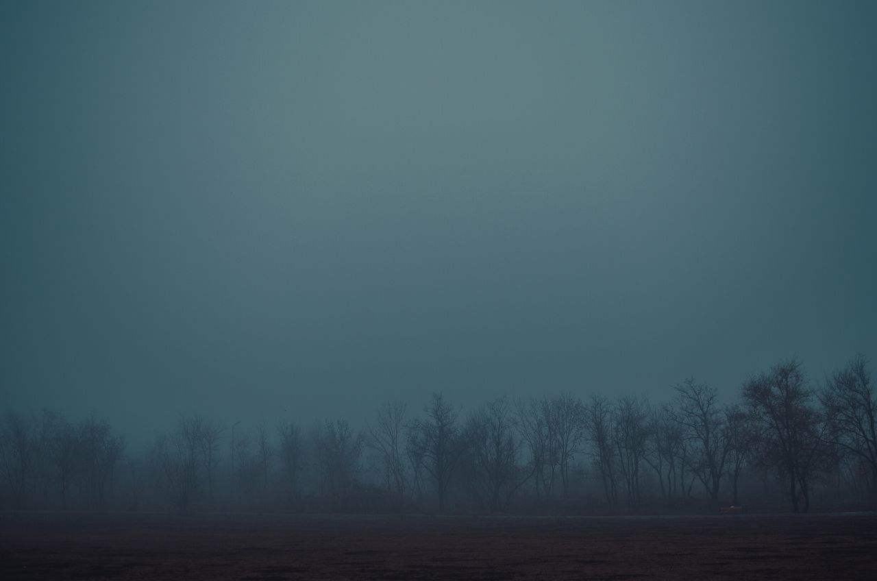 tranquility, tree, tranquil scene, scenics, beauty in nature, bare tree, landscape, fog, nature, copy space, field, silhouette, dusk, sky, weather, non-urban scene, foggy, idyllic, outdoors