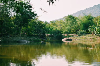 Scenic view of lake in forest against sky