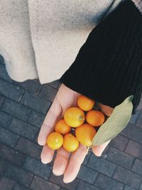 Cropped hand of woman holding kumquats