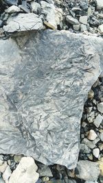 High angle view of stones in water