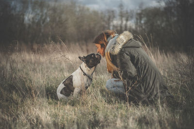 View of dogs on field