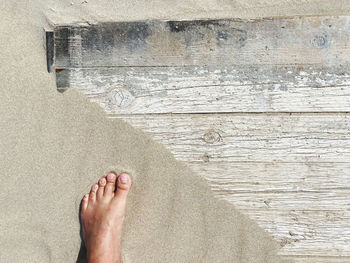 Low section of person standing at beach