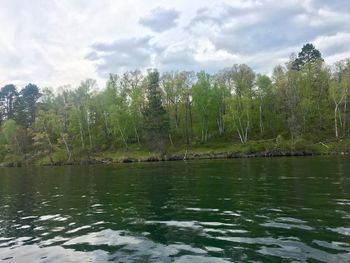 Scenic view of lake against trees in forest against sky