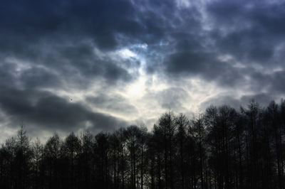 Low angle view of silhouette trees against sky in forest