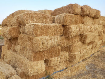 Hay bales on field against sky