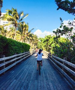 Rear view of woman riding bicycle on wooden walkway