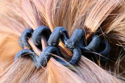 Close-up of woman with scrunchie