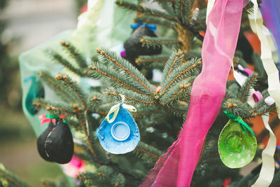 Handmade avocado skin decoration on a christmas tree outdoor. diy creative ideas for children
