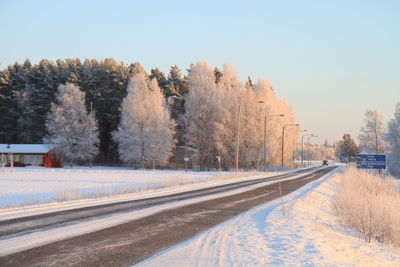 Road amidst trees on snowcapped field during winter