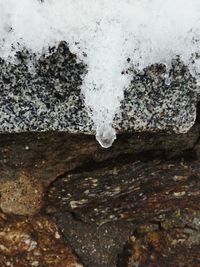 Close-up of water in snow