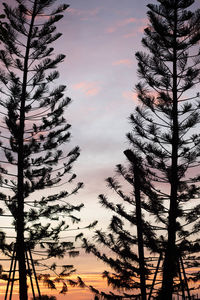 Low angle view of silhouette trees against sky during sunset