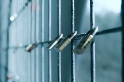 Close-up of padlock on metal fence