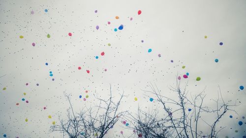 Low angle view of balloons flying against sky