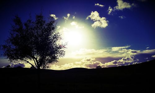 Low angle view of silhouette trees against sky at sunset