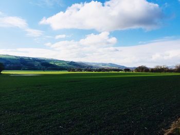 Scenic view of field against sky