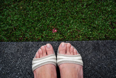 Feet in a grass
