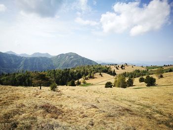 Scenic view of landscape against sky