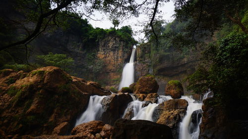 Scenic view of waterfall in forest