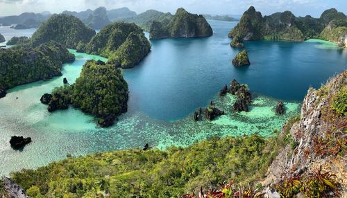 High angle view of bay against trees at puncak harapan misool island raja ampat 