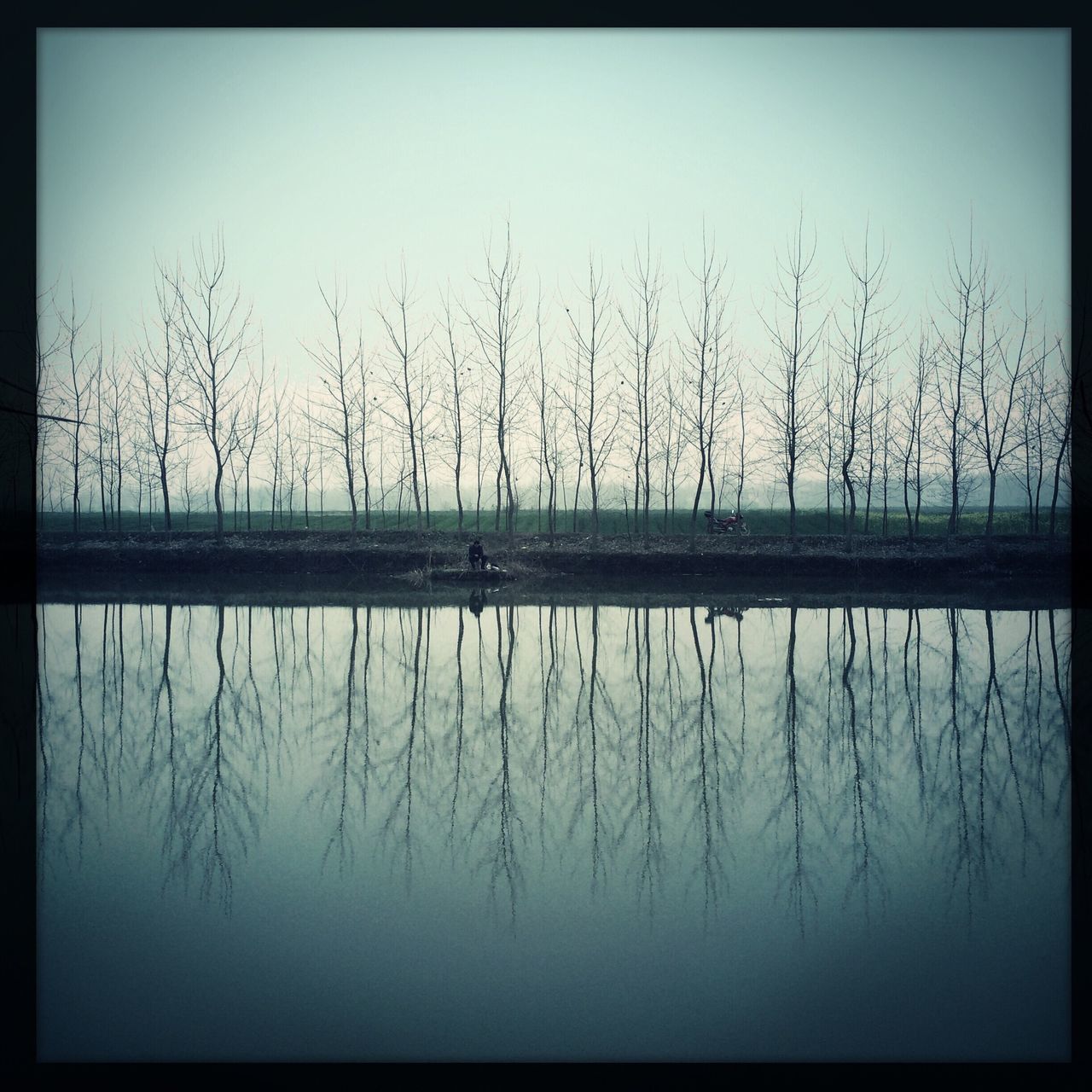 transfer print, water, lake, tranquility, tranquil scene, auto post production filter, reflection, clear sky, nature, scenics, waterfront, beauty in nature, bare tree, tree, silhouette, sky, idyllic, copy space, outdoors, no people