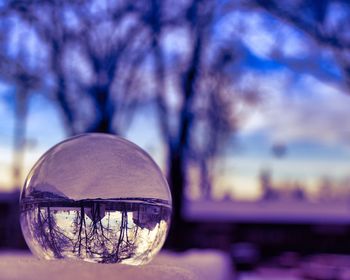 Close-up of crystal ball against trees