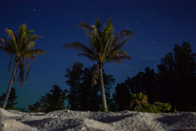 Low angle view of palm trees against clear sky at night