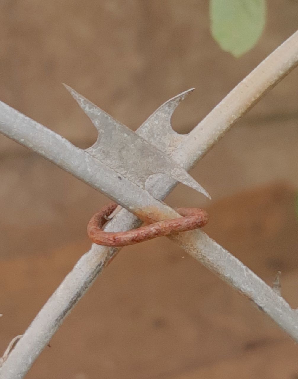 CLOSE-UP OF BARBED WIRE FENCE IN SNOW