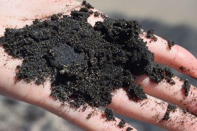 Close-up of hand holding mud