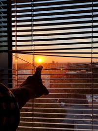 Person hand against orange sky during sunset