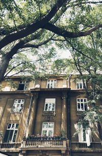 Low angle view of building