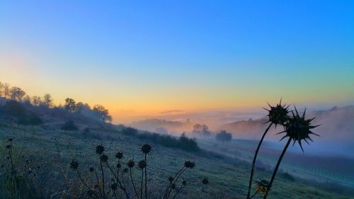 Scenic view of landscape at sunset