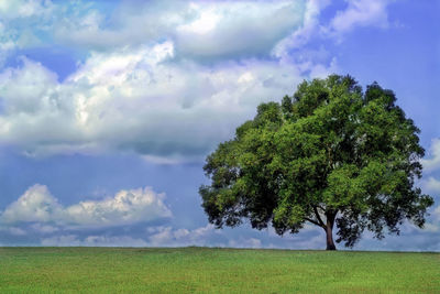 Scenic view of field against cloudy sky