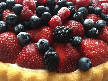 Close-up of berries on plate