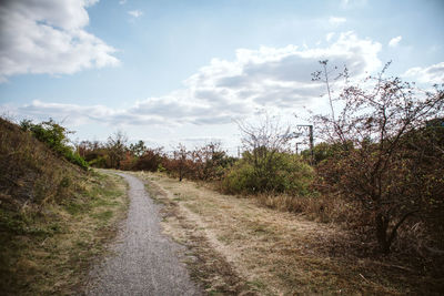 Dirt road along plants and trees against sky