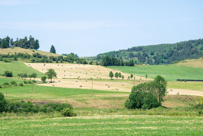 Scenic view of farm against sky