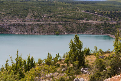 High angle view of trees by lake