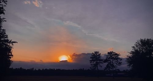 Silhouette trees on field against sky at sunset