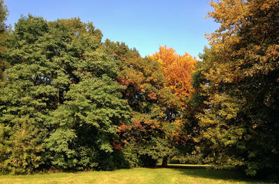 Scenic view of green landscape against sky