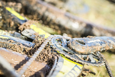 Close-up of abandoned bicycle outdoors