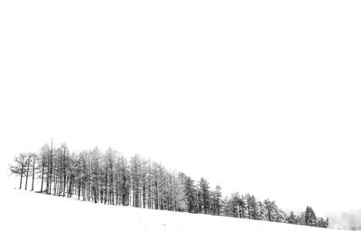 Trees on snow covered land against clear sky